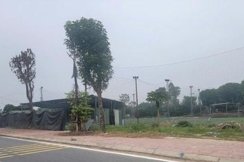 Nhân viên đê điều bị hành hung khi chụp ảnh sân bóng xây trái phép tại xã Đông La