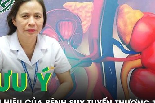Suy tuyến thượng thận và những điều cần biết