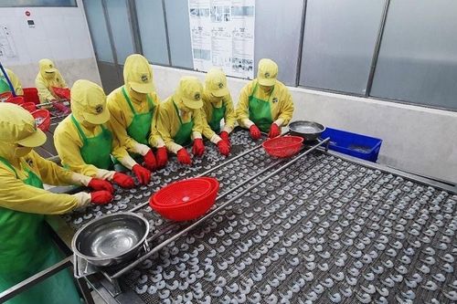Cà Mau: Đẩy mạnh chuyển đổi số và thương mại điện tử