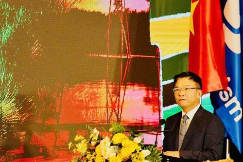 Làng rau Trà Quế được trao chứng nhận Làng du lịch tốt nhất năm 2024