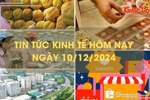 Tin tức kinh tế 10/12: đầu tư ra nước ngoài tăng hơn 50%