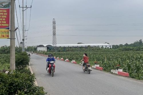 Nhiều huyện ngoại thành Hà Nội không còn hộ nghèo