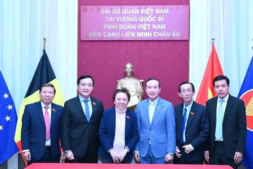 Đoàn đại biểu Quốc hội TPHCM thăm, làm việc tại Vương quốc Bỉ và Cộng hòa Liên bang Đức