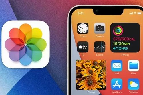 Bật mí cách mở quyền truy cập ảnh trên iPhone đơn giản nhất