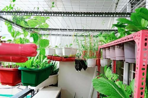 Sống xanh từ hành động nhỏ