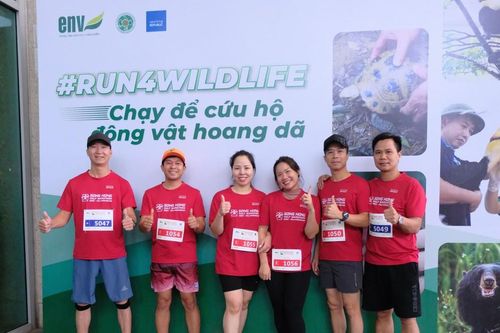 Nỗ lực hơn nữa để tiếp nhận động vật hoang dã bị tịch thu từ buôn bán trái phép