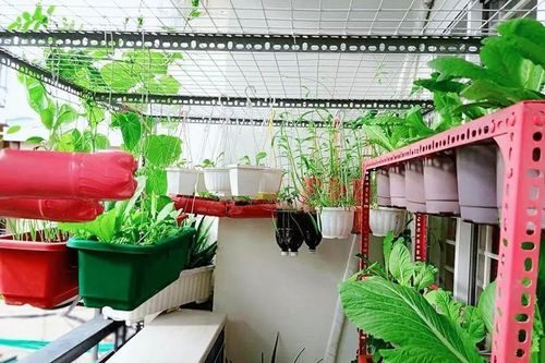 Thay đổi lớn từ những hành động nhỏ