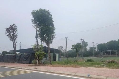 Hà Nội: Chụp ảnh sân bóng xây dựng trái phép, nữ nhân viên đê điều bị hành hung