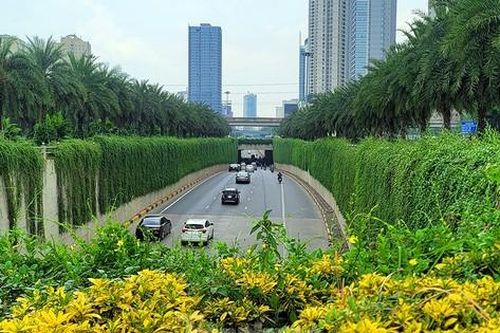 Khuyến khích sử dụng phương tiện giao thông xanh
