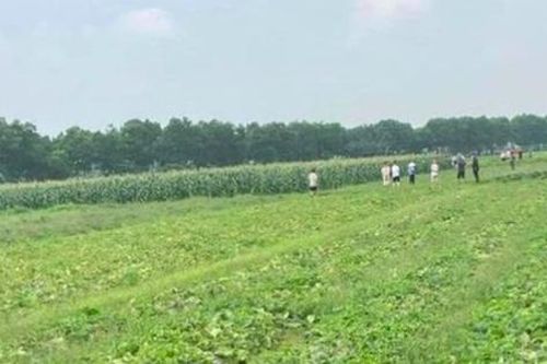 Gã trai có nhiều án tích sát hại người tình trong cơn ghen