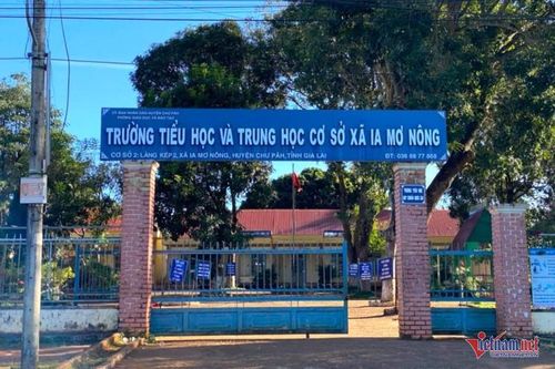 Vụ thầy giáo thuê người dạy thay: Kiểm điểm hiệu trưởng và giáo viên