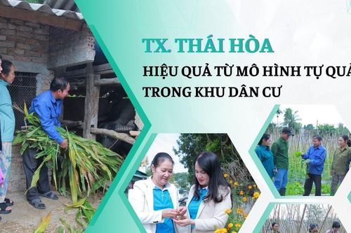 Hiệu quả từ mô hình tự quản trong khu dân cư ở thị xã Thái Hòa