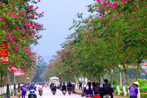 8 xã ở Nghệ An đăng ký về đích nông thôn mới kiểu mẫu năm 2025