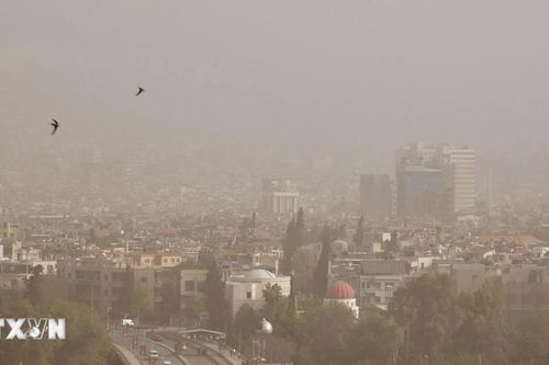 Ai được chỉ định lập chính phủ mới để quản lý giai đoạn chuyển tiếp ở Syria?