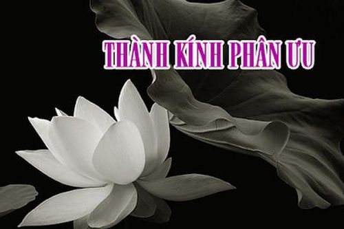LỜI CHIA BUỒN