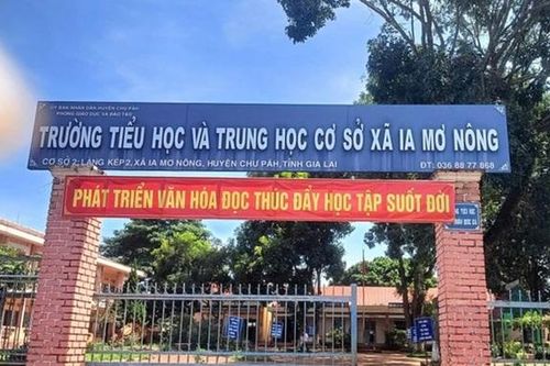 Thông tin mới nhất vụ thầy giáo không có bằng THPT phải thuê người dạy thay