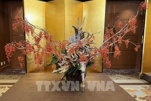 Đặc sắc Triển lãm nghệ thuật cắm hoa truyền thống quốc tế tại Tokyo (Nhật Bản)