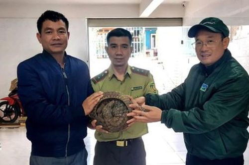 Người dân phát hiện con vật quý hiếm khi đi tập thể dục
