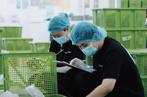 Nhờ đâu Kamereo tiếp tục huy động thành công 7,8 triệu USD