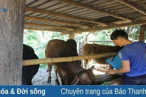Hỗ trợ đồng bào dân tộc thiểu số ở Mường Lát xóa đói, giảm nghèo
