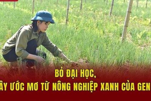 Bỏ đại học, xây ước mơ từ nông nghiệp xanh của Gen Z