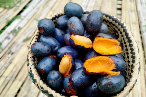 Mùa ỏm cọ