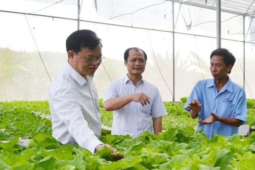 Tìm hiểu các mô hình sản xuất nông nghiệp hữu cơ tại huyện Vĩnh Cửu