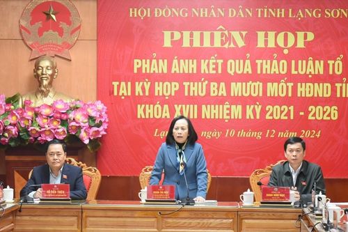 Kỳ họp thứ 31, HĐND tỉnh khóa XVII: Phiên họp phản ánh kết quả thảo luận tổ