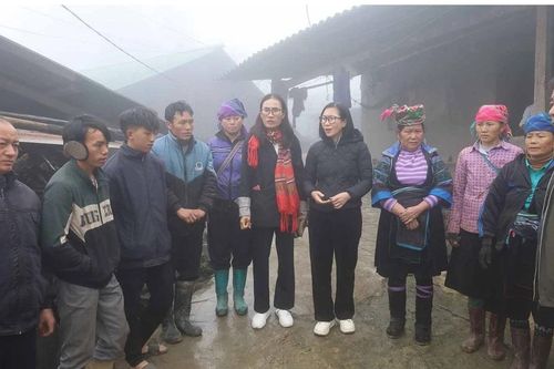 Đánh giá hiệu quả mô hình chăn nuôi lợn nái bản địa sinh sản an toàn dịch bệnh