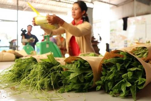 Đà Lạt hướng đến nền nông nghiệp tuần hoàn, bền vững