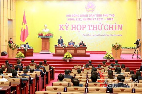 Đại biểu đóng góp nhiều ý kiến tâm huyết tại Kỳ họp