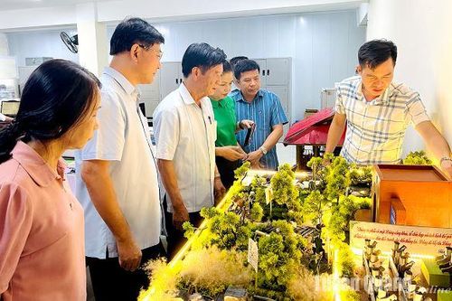 Khơi dậy đam mê nghiên cứu, sáng tạo cho học sinh