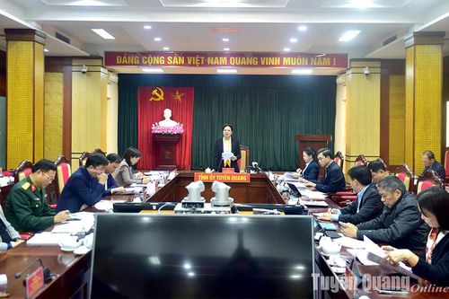 Ban Thường vụ Tỉnh ủy cho ý kiến về tổng kết thực hiện Nghị quyết số 18