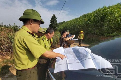 Tiếp tục phát triển rừng theo hướng bền vững