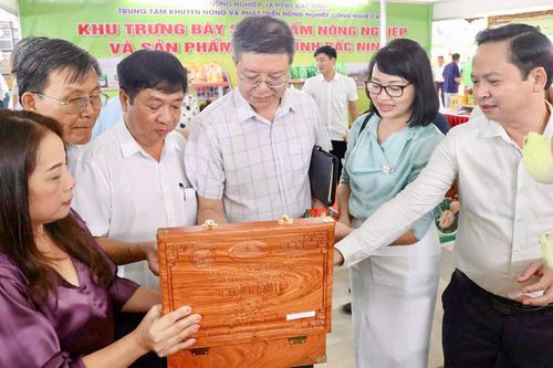 Tăng cường quản lý chất lượng chè