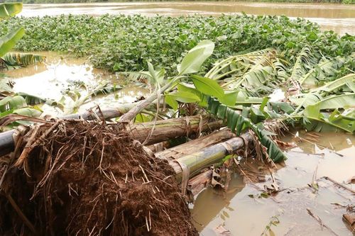 Tìm giải pháp khắc phục sạt lở bờ sông Vĩnh Định mà Báo CAND đã phản ánh