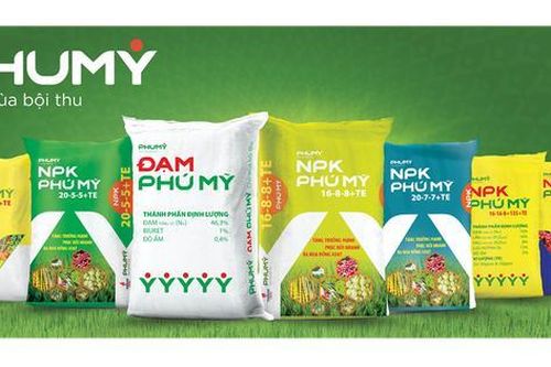 PVFCCo đổi nhận diện, đánh dấu bước chuyển mình mạnh mẽ