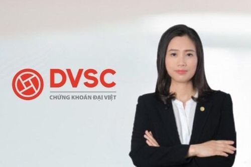 Tân Tổng Giám đốc Chứng khoán Đại Việt (DVSC) là 'người cũ' Tân Việt (TVSI)