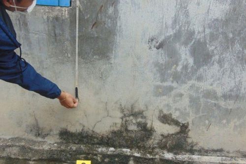 Thần tốc truy bắt nghi can gây án mạng trên huyện đảo Phú Quý