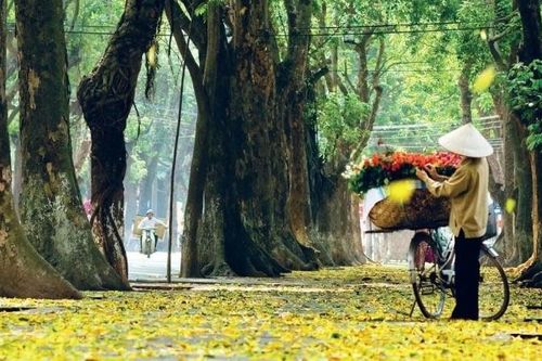 Mùa Thu Hà Nội có gì hấp dẫn du khách?