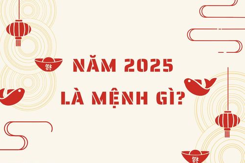 Năm 2025 mệnh gì?