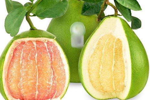Bưởi đỏ hay bưởi trắng tốt hơn?