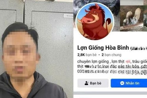 Lập Facebook 'Lợn Giống Hòa Bình' lừa tiền đặt cọc của người mua
