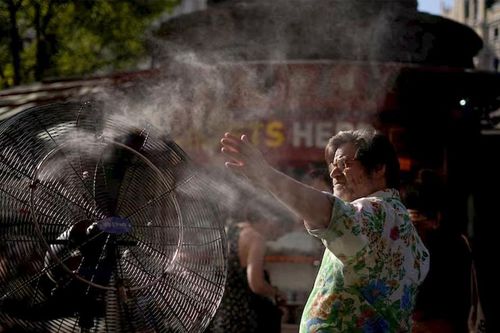 Năm 2024 là năm nóng nhất từng được ghi nhận