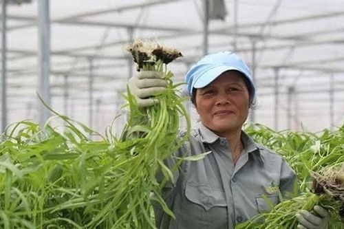 Việt Nam thực hiện tốt cam kết ứng phó biến đổi khí hậu