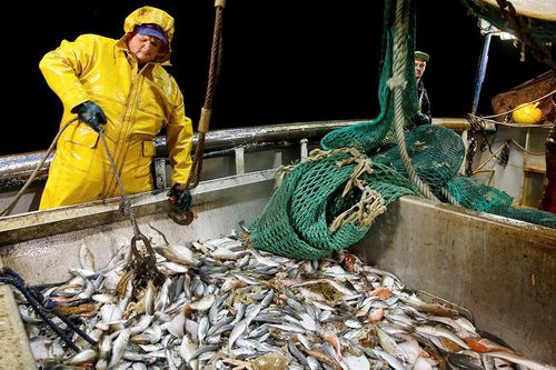 EU và Anh đạt thỏa thuận về đánh bắt cá