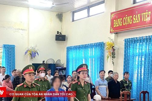 Lừa đảo chiếm đoạt tài sản, Hội trưởng Hội phụ nữ lĩnh án
