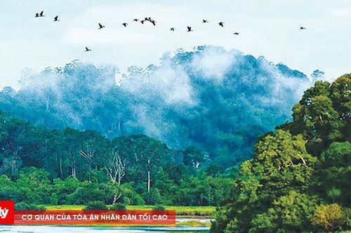 Đồng Nai quyết liệt bảo vệ nguồn nước ngầm trước tình trạng suy giảm nghiêm trọng