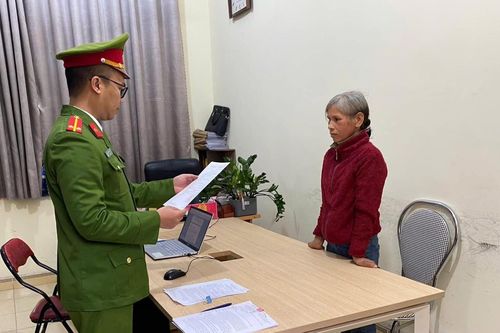 Cao Bằng: Nhổ 25 cây ngô, người phụ nữ bị khởi tố