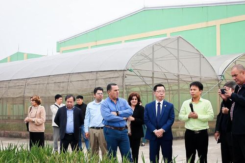 ThaiBinh Seed vinh dự tiếp đón Bộ trưởng Bộ Nông nghiệp Cuba thăm và làm việc tại tập đoàn